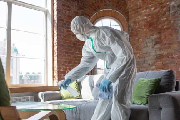 Trusted Derwood, MD Mold Removal Services Experts